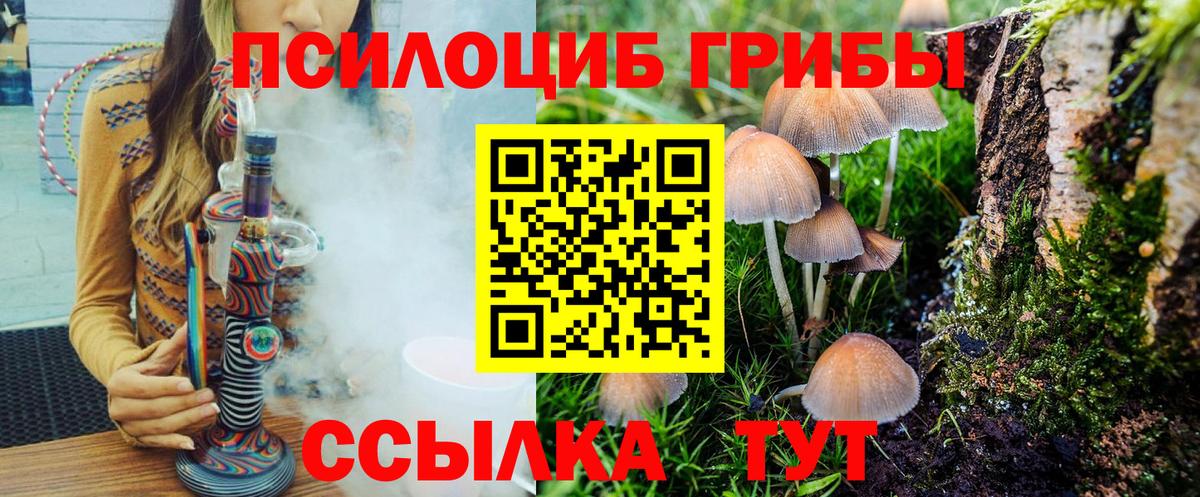 Галлюциногенные грибы MAGIC MUSHROOMS  Вход с VPN  Конаково  Псилоцибиновые грибы мухоморы 