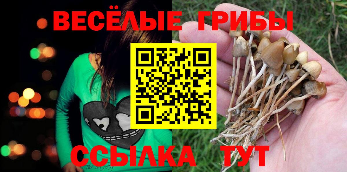 Галлюциногенные грибы MAGIC MUSHROOMS Конаково
