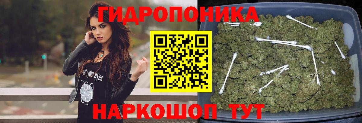 Конаково  Каннабис конопля  Бошки марихуана VHQ  Шишки марихуана LSD WEED  Вход с VPN 